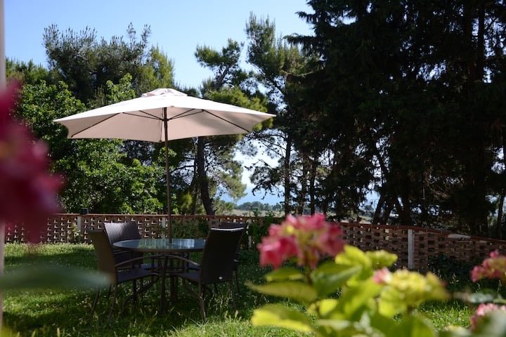 Garden lounge overlooking the sea